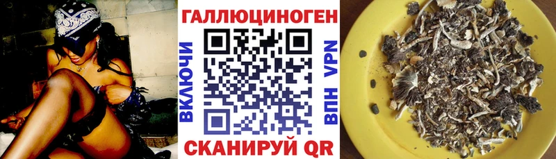 Галлюциногенные грибы Psilocybe площадка состав Новый Уренгой